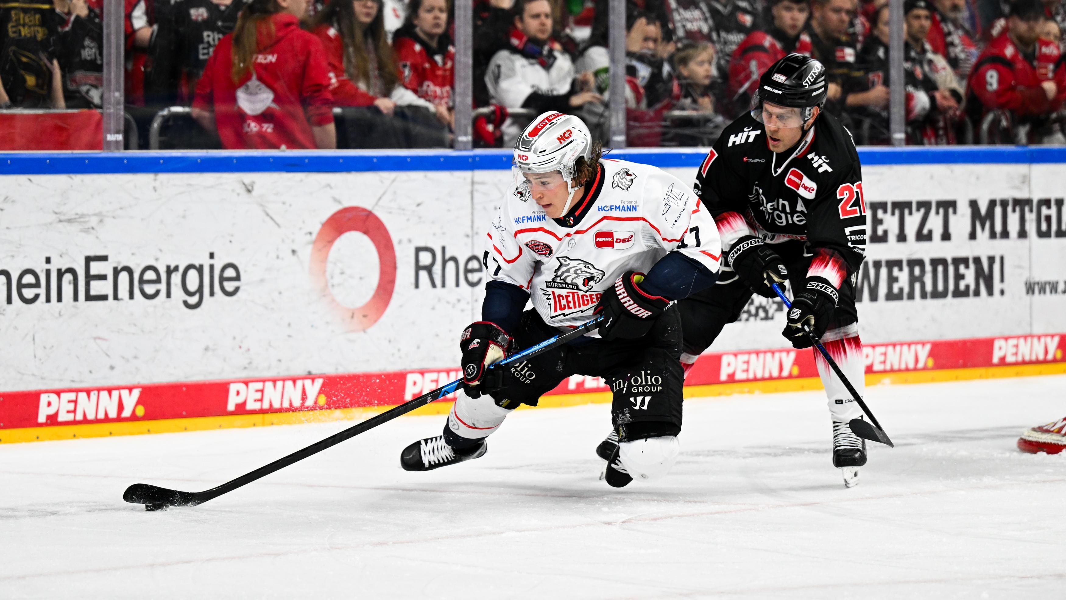 Kölner Haie gg. Nürnberg Ice Tigers